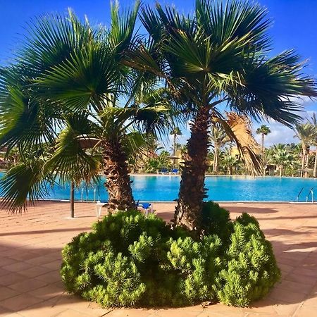 Fuerteventura Apartments كوراليهو المظهر الخارجي الصورة