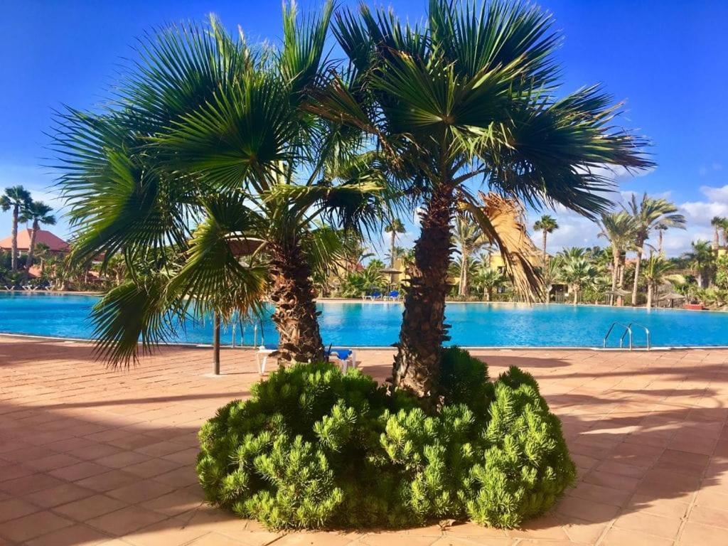 Fuerteventura Apartments كوراليهو المظهر الخارجي الصورة