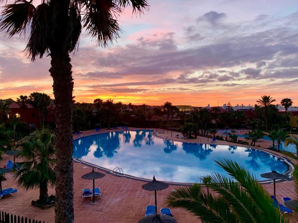 Fuerteventura Apartments كوراليهو المظهر الخارجي الصورة