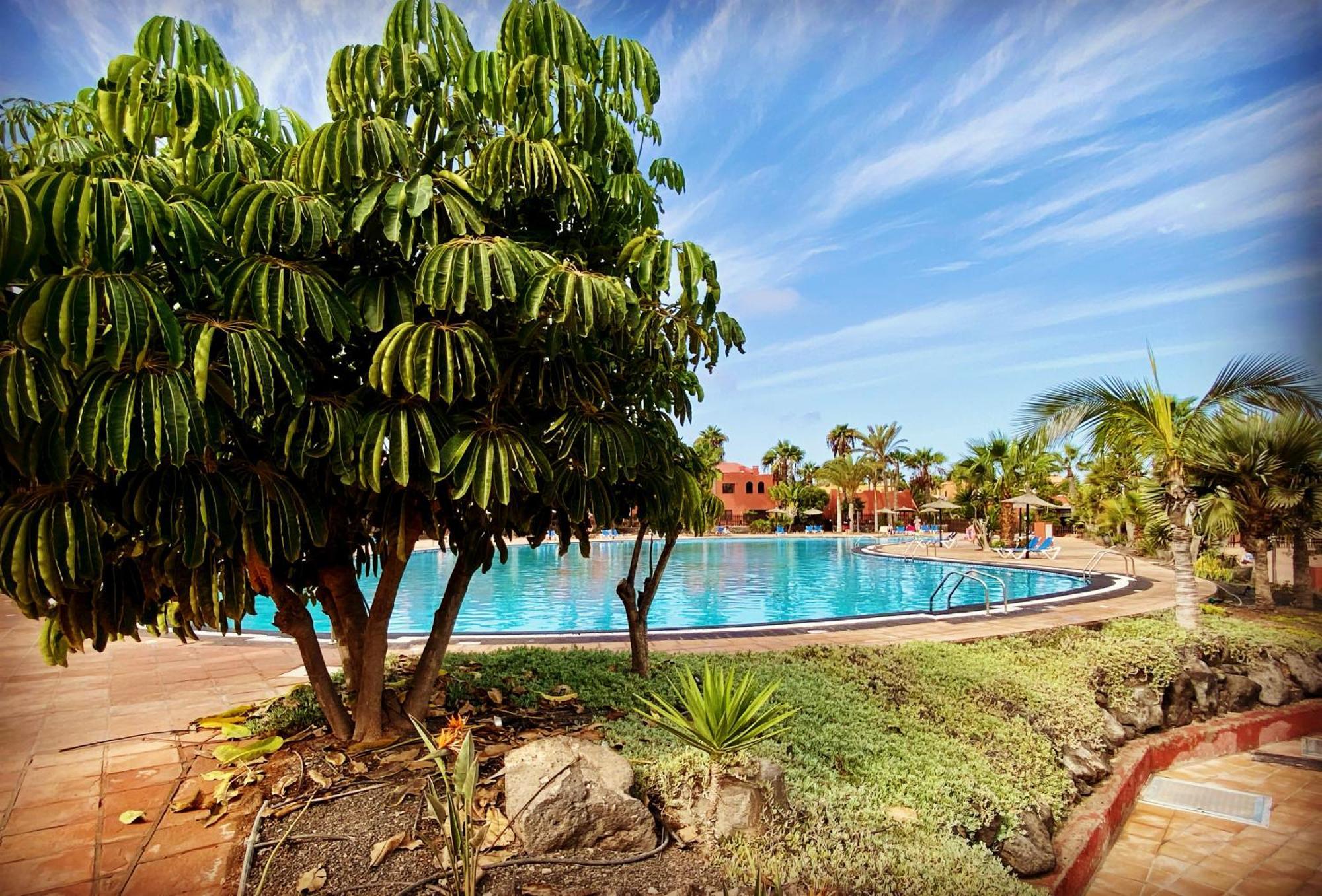 Fuerteventura Apartments كوراليهو المظهر الخارجي الصورة
