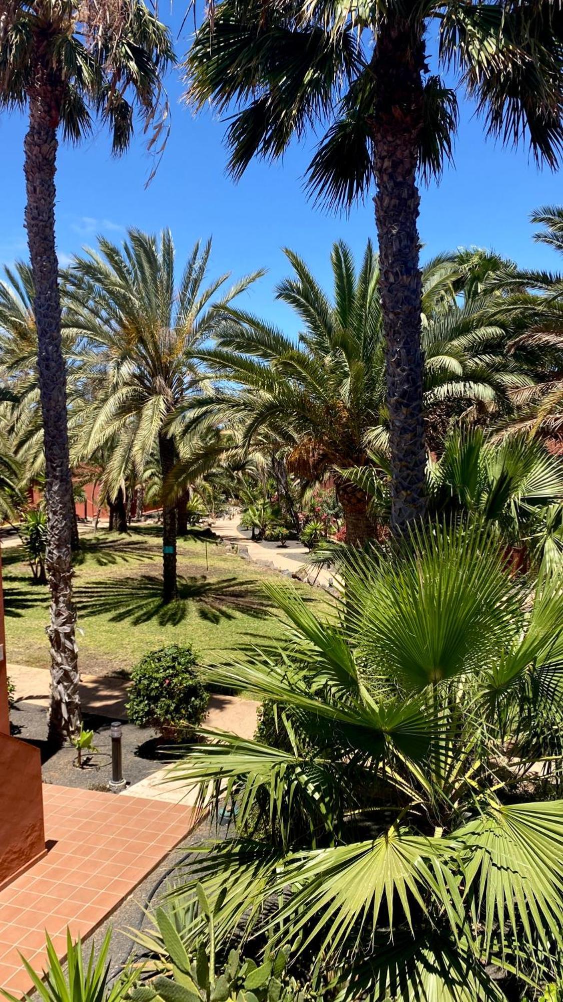 Fuerteventura Apartments كوراليهو المظهر الخارجي الصورة